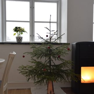 Julbilder